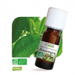 Ravintsara Organic Essential Oil, 10ml - Elliotti